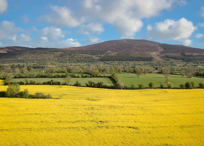 Semesterbostad Ballyneill Carrick-on-Suir